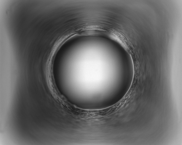 X0000099950289200805231327