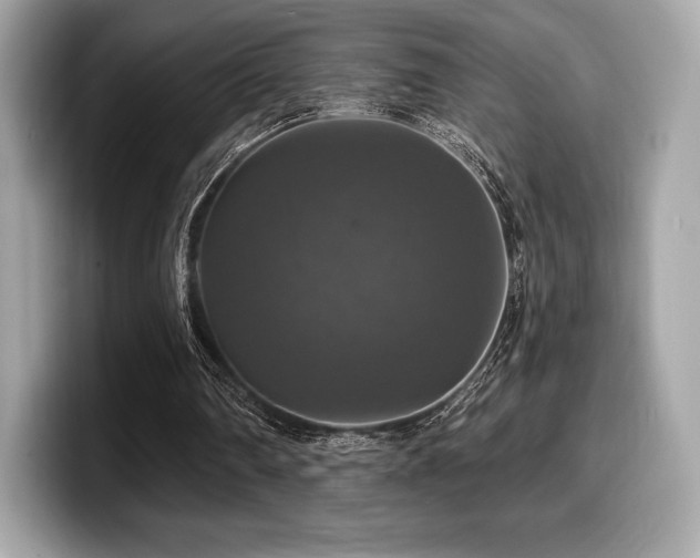 X0000099950290200805231327