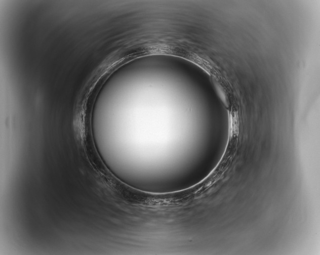 X0000099950291200805231327