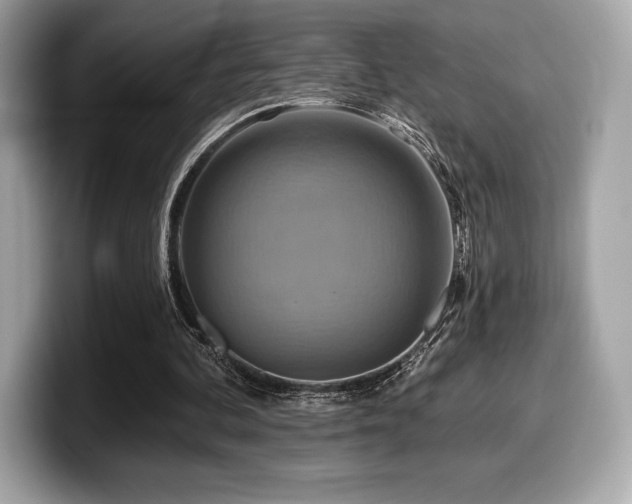 X0000099950292200805231327