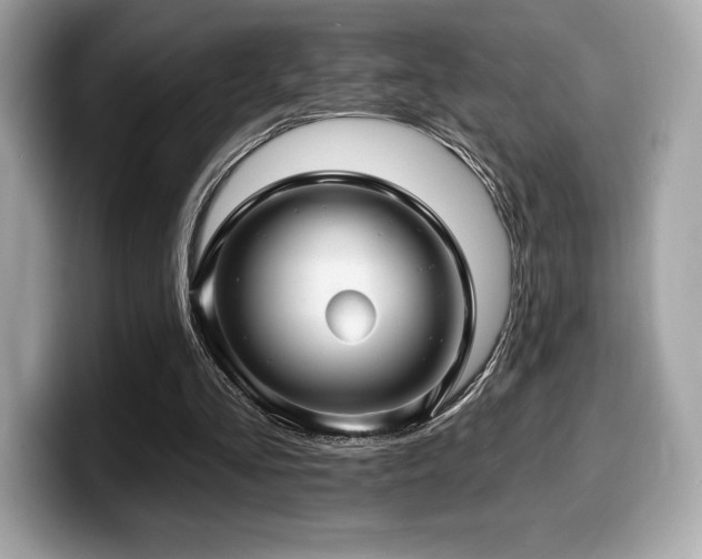 X0000099950293200805231327