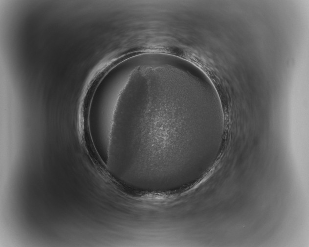 X0000099950294200805231327