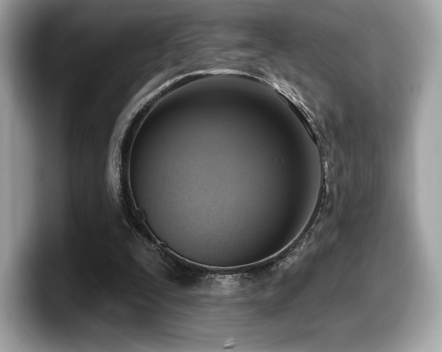 X0000099950295200805231327