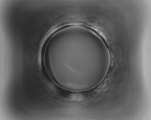 X0000099950296200805231327
