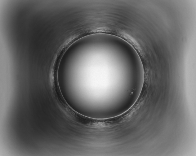 X0000099950298200805231327