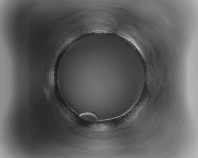 X0000099950299200805231327