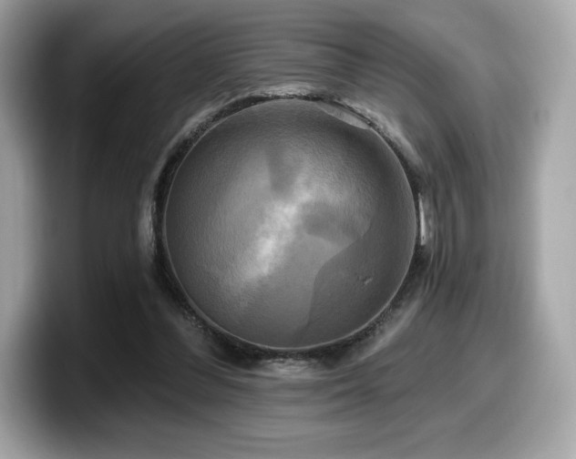 X0000099950300200805231327