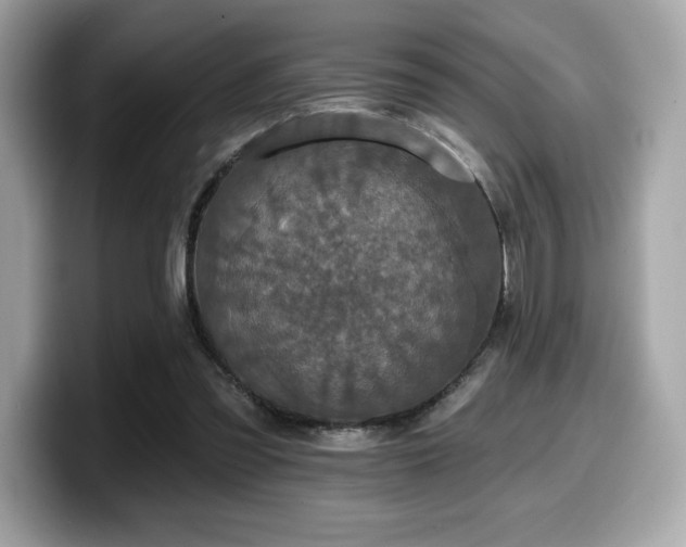 X0000099950301200805231327