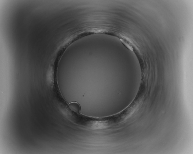 X0000099950303200805231327