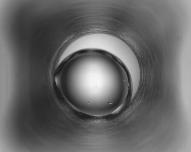 X0000099950304200805231327