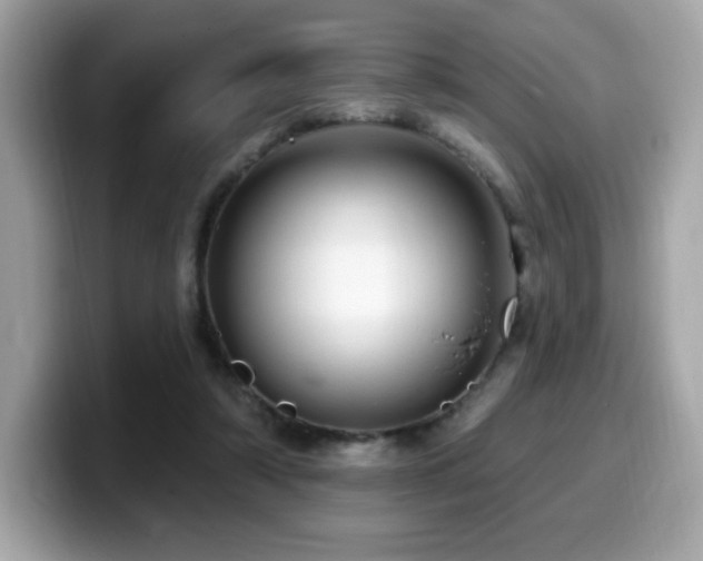X0000099950306200805231327