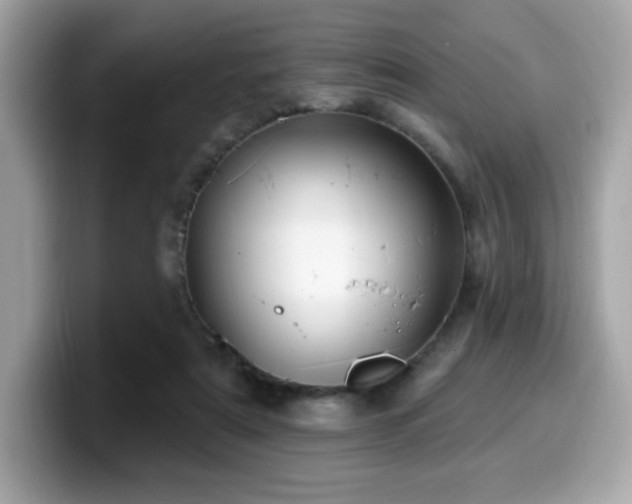 X0000099950307200805231327