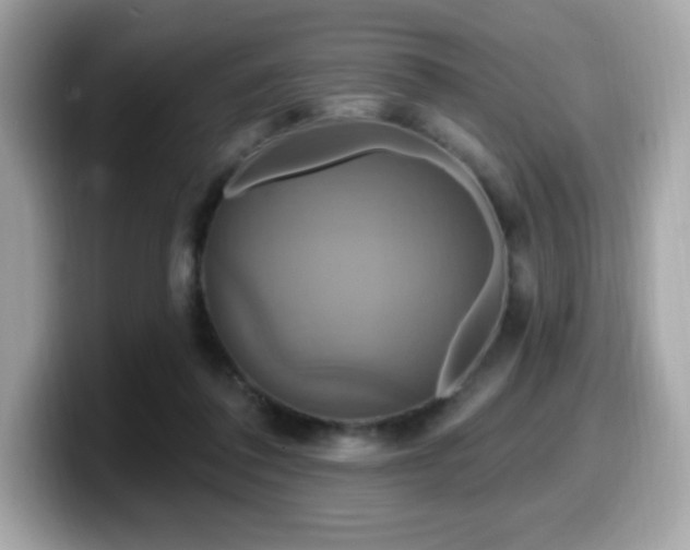 X0000099950308200805231327