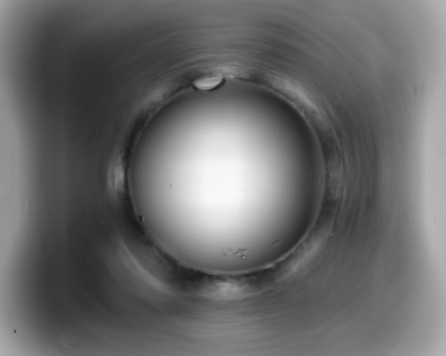 X0000099950310200805231327