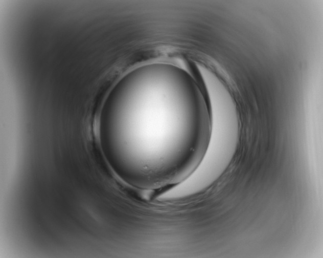 X0000099950313200805231327