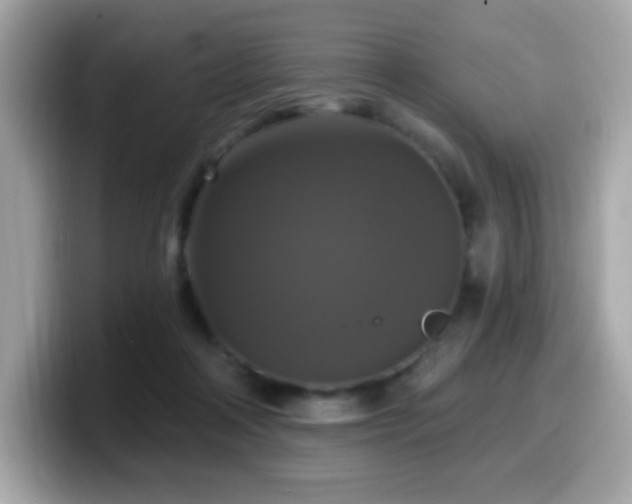 X0000099950314200805231327