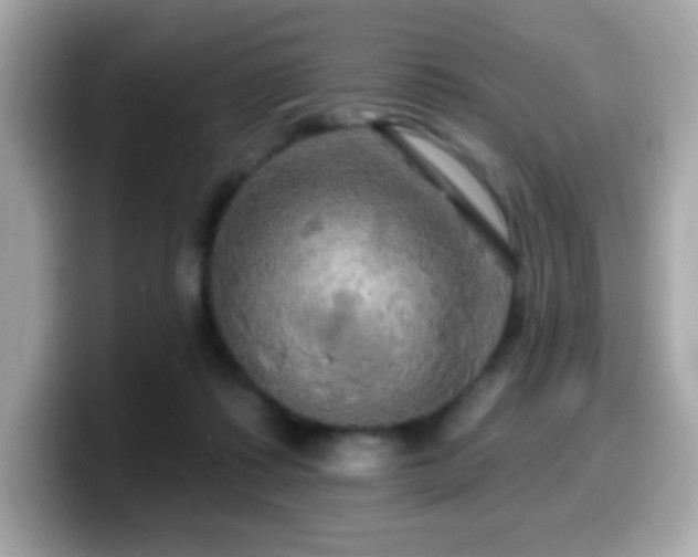 X0000099950315200805231327