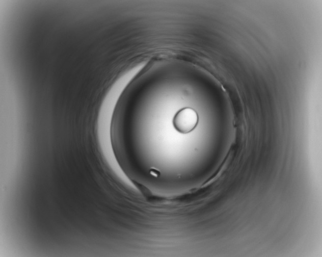 X0000099950316200805231327
