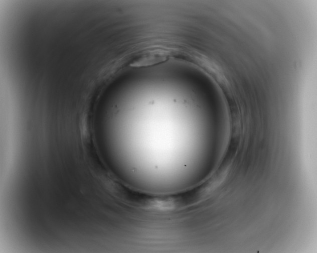 X0000099950317200805231327