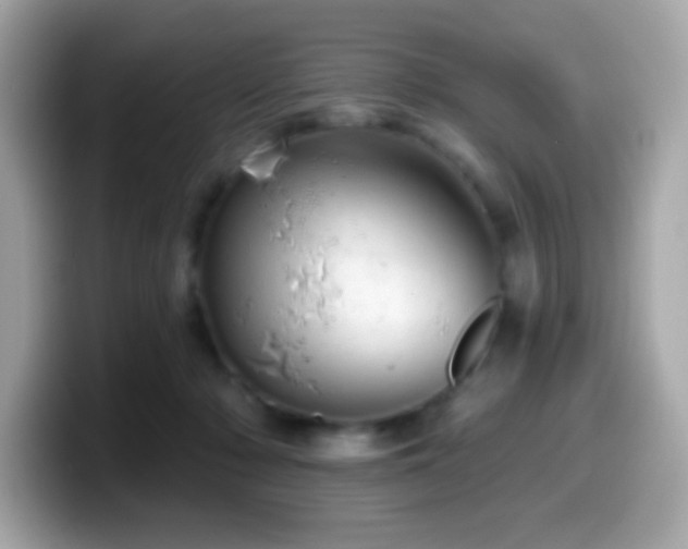 X0000099950318200805231327