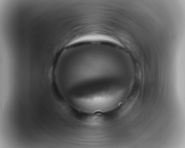X0000099950319200805231327