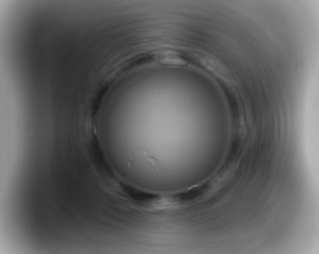 X0000099950320200805231327