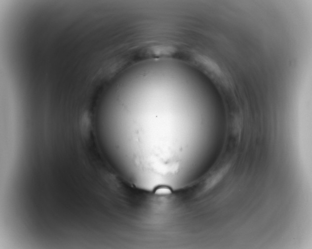 X0000099950321200805231327