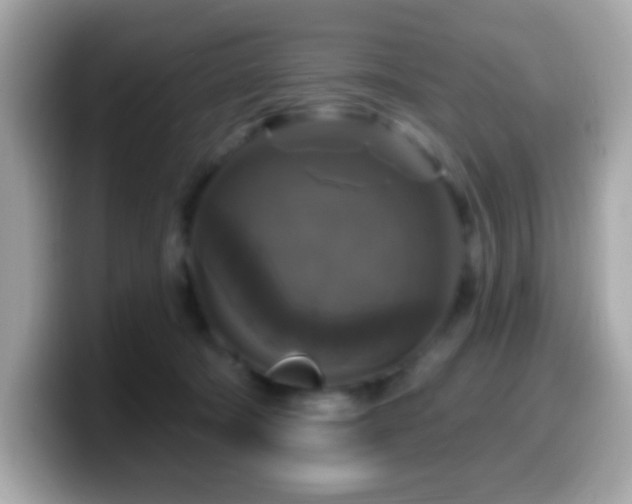 X0000099950322200805231327