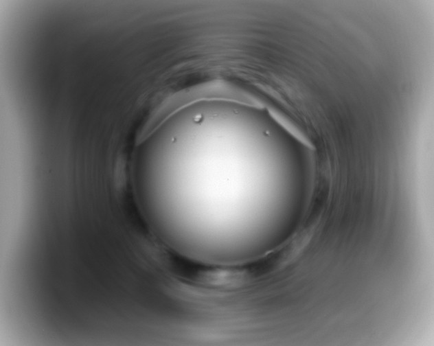 X0000099950323200805231327