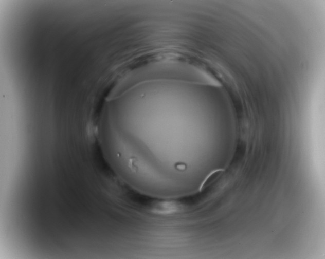 X0000099950324200805231327