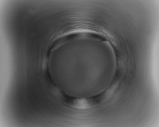 X0000099950325200805231326