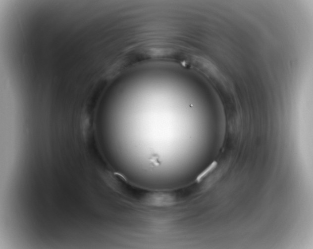 X0000099950327200805231326