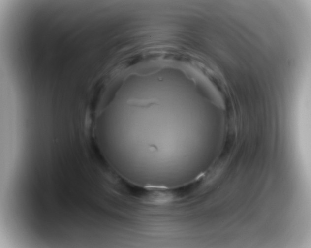 X0000099950328200805231326