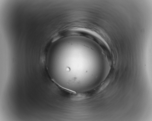 X0000099950329200805231326