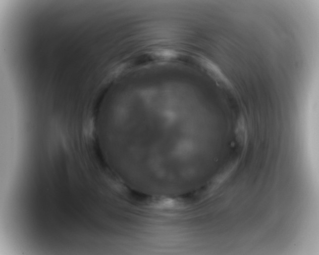 X0000099950330200805231326