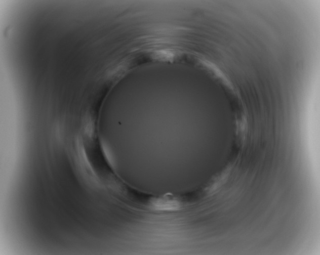 X0000099950331200805231326