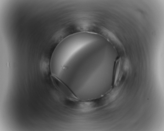 X0000099950332200805231326