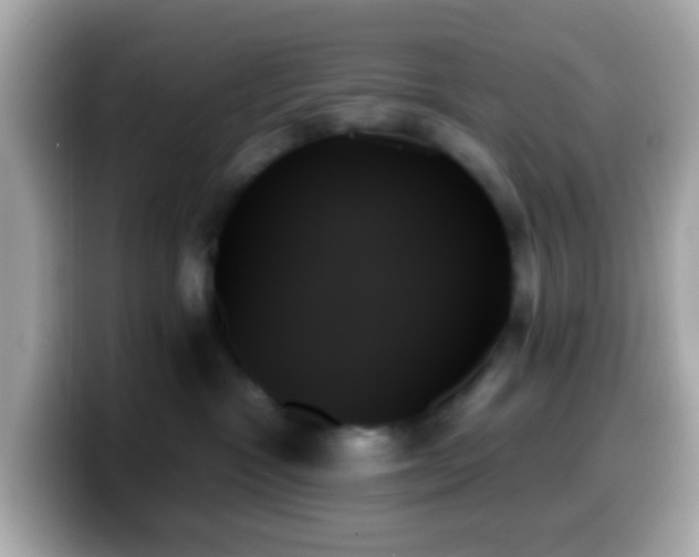 X0000099950333200805231326
