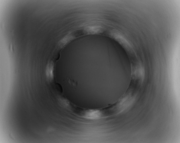 X0000099950334200805231326