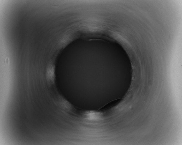 X0000099950336200805231326