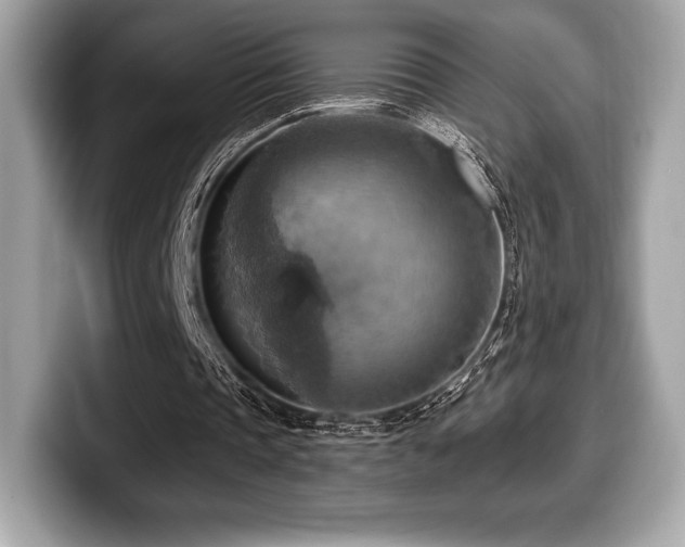 X0000099950337200805231326