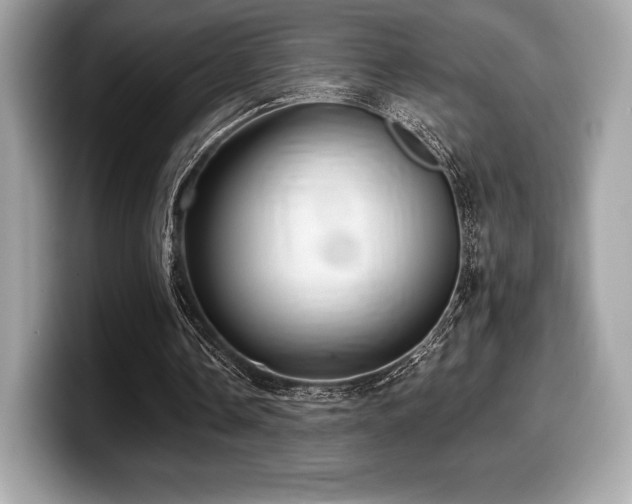 X0000099950338200805231326