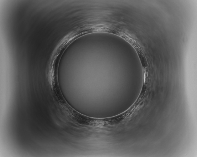 X0000099950339200805231326