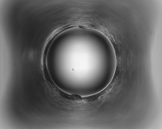 X0000099950340200805231326