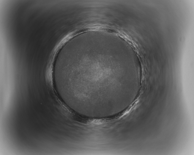 X0000099950341200805231326