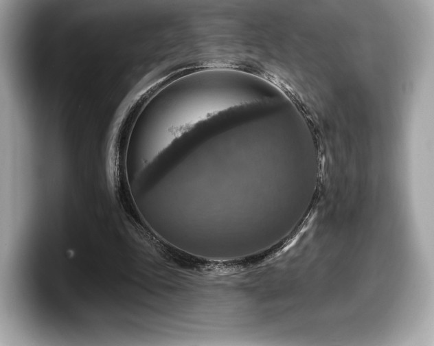 X0000099950343200805231326