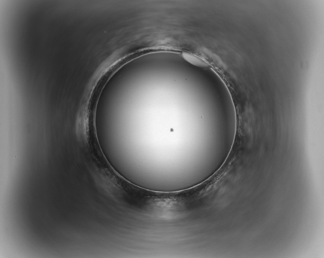 X0000099950344200805231326