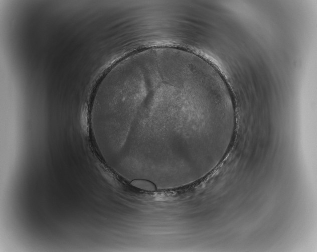 X0000099950345200805231326