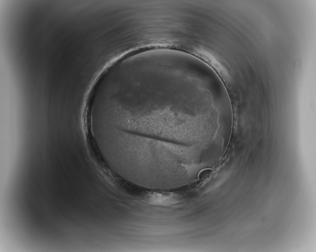 X0000099950346200805231326