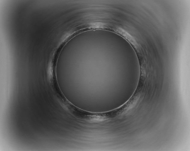 X0000099950347200805231326